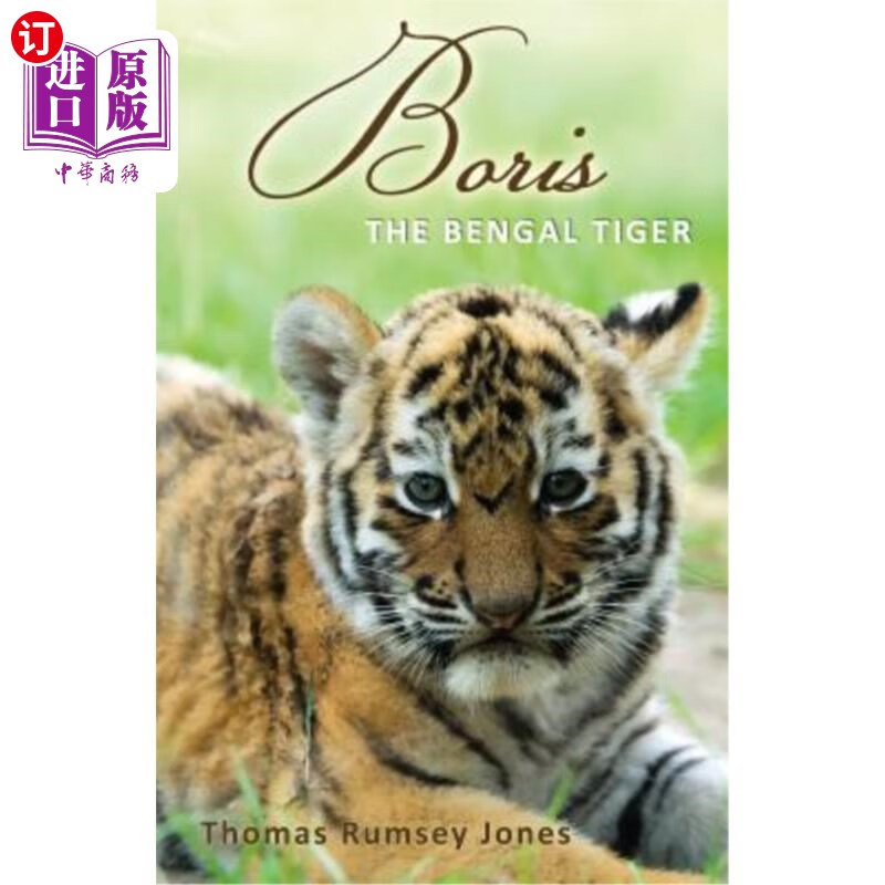 海外直订boris: the bengal tiger 鲍里斯:孟加拉虎
