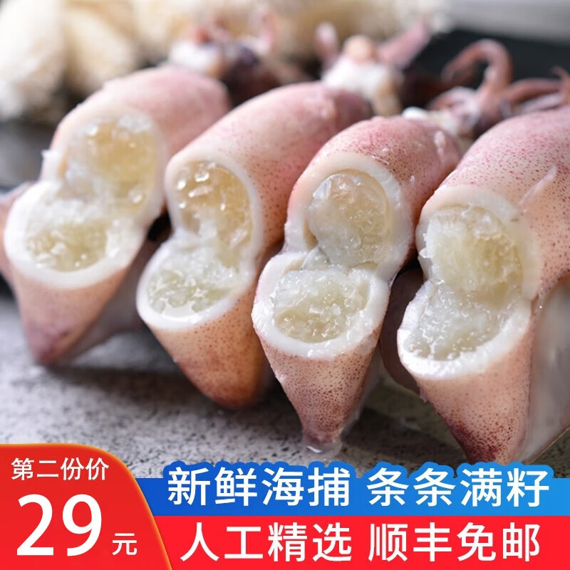 渔哥戏鱼 青岛冷冻满籽笔管鱼 母管乌贼满籽籽乌带籽海兔子小鱿鱼火锅