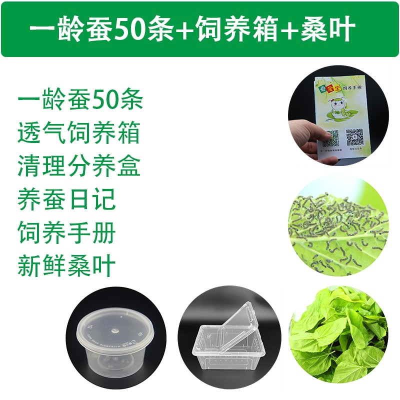 园艺辅材历史价格查询|园艺辅材价格走势图