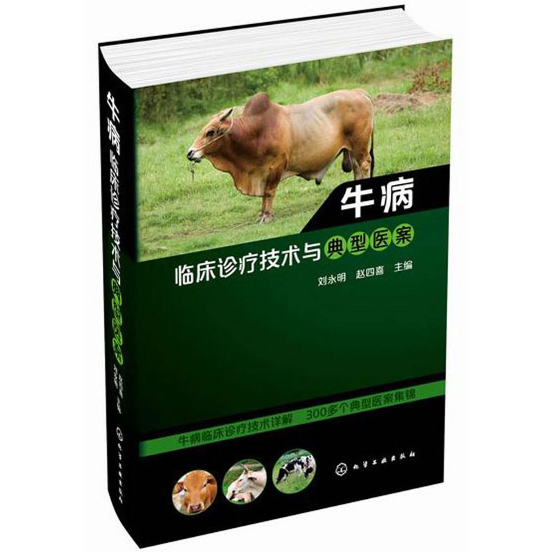 牛病临床诊疗技术与典型医案 养牛书籍大全兽医牛病全书肉牛养殖技术书牛饲料配方牛病诊断繁殖母牛饲养管理
