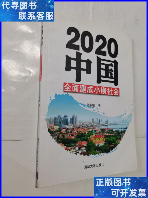 2020中国:全面建成小康社会 作者 清华大学出版社二手书