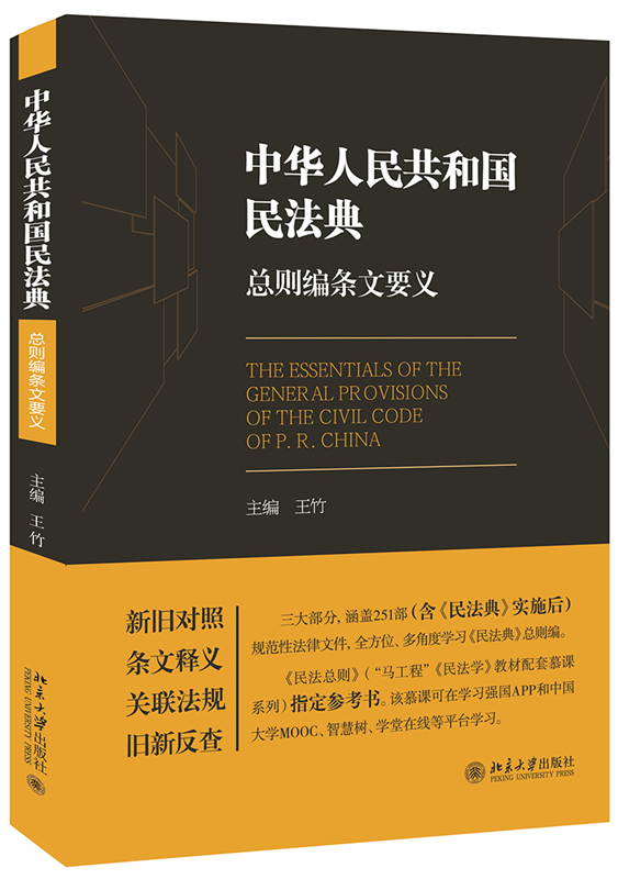 《中华人民共和国民法典》总则编条文要义