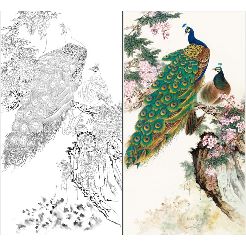 桔舍陈军工笔画白描底稿孔雀四尺原作大小66×121厘米花鸟线稿带a3