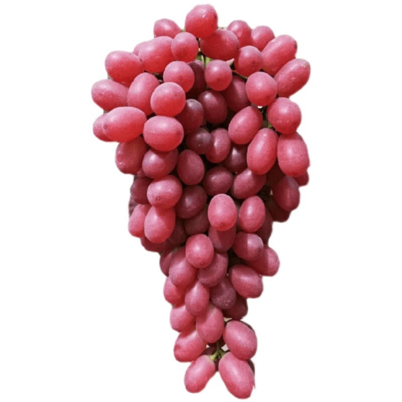 瑞口福新疆无籽红提马奶提克伦生葡萄新鲜水果礼盒小蜜蜂脆甜无核整箱