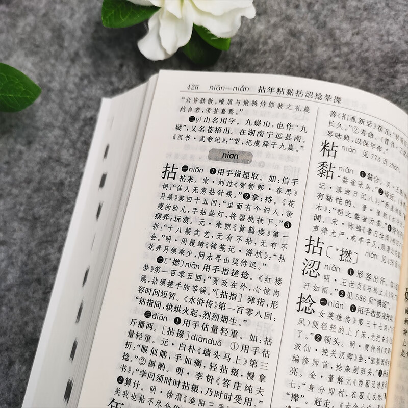 古汉语常用字字典(单色本)“渠道专享”