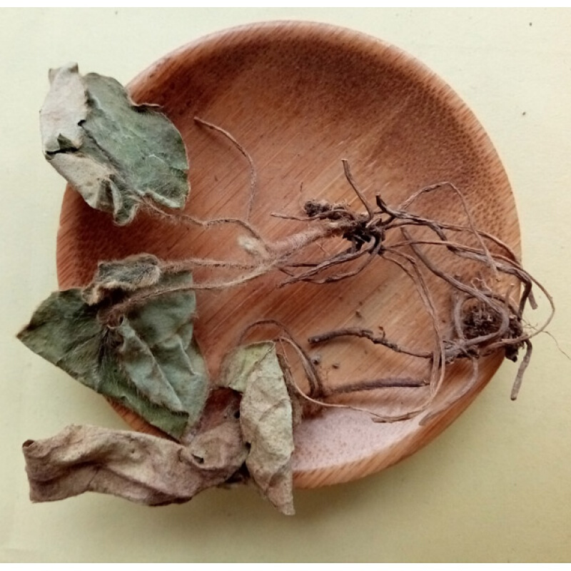 佑康泰新货1斤杏香兔耳风一枝香杏香兔耳草滋补养生兔耳一支香500克