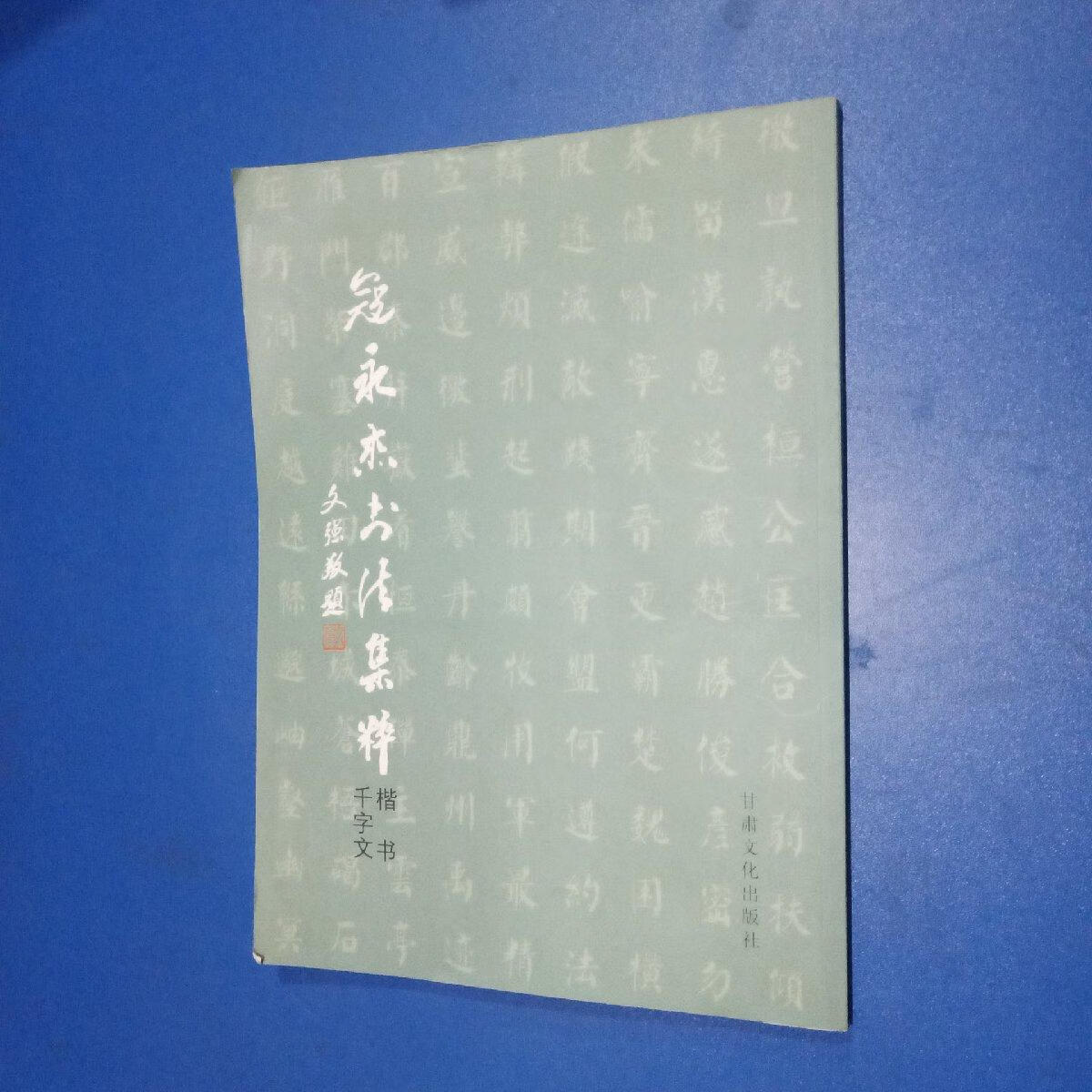 [二手9成新]寇永杰书法集粹楷书千字文