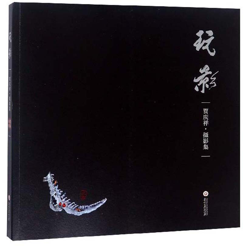 玩影（贾庆祥·摄影集）
