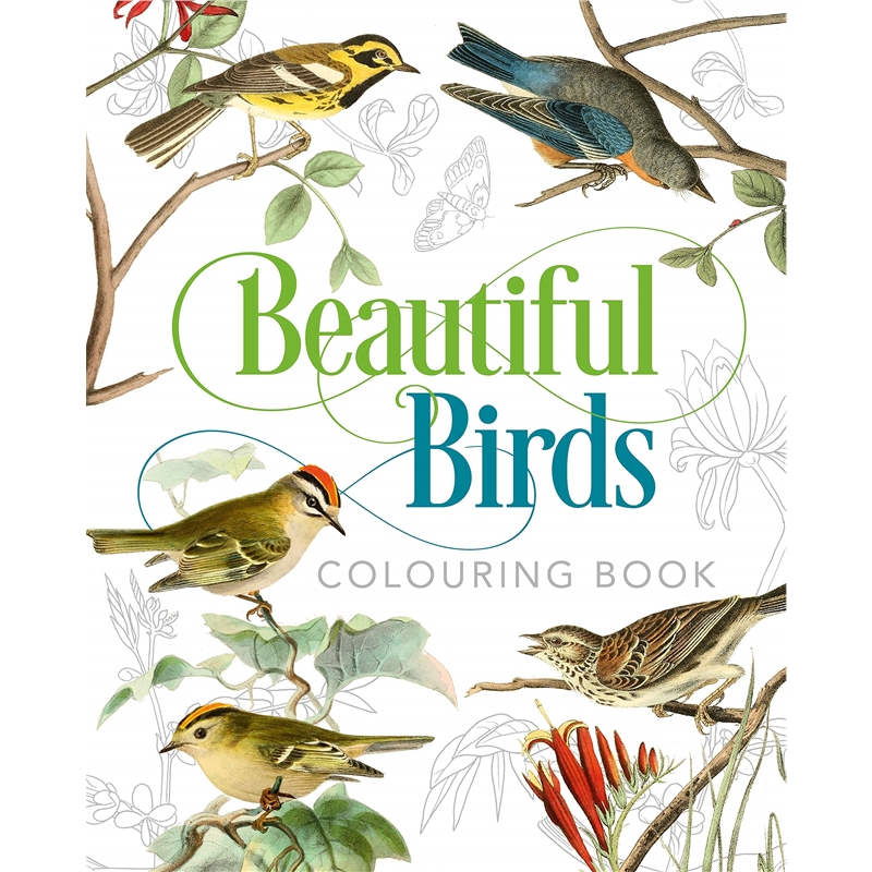 预订Beautiful Birds Colouring Book