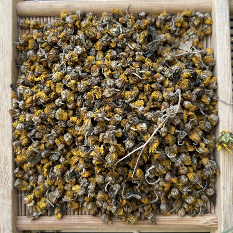皇茅高海拔深山野菊花天然胎菊野生小黄菊清心明目野菊花茶散装 100克