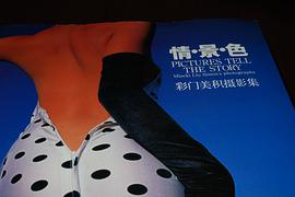 正版现货情景色 (日)彩门美积摄 吉林美术出版社 9787538612806