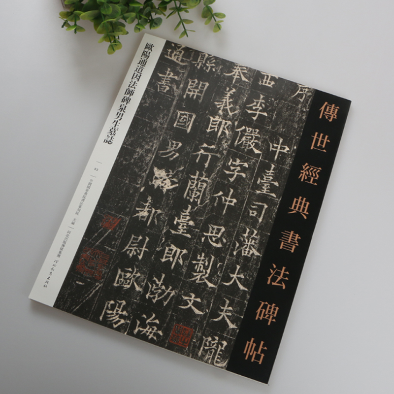 正版 欧阳通道因法师碑 泉男生墓志 传世经典书法碑帖 原色原大 简体旁注 附技法解析 魏碑 楷书字帖