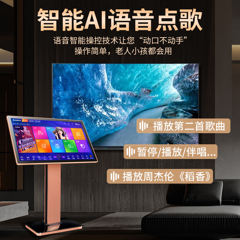 心唱享XCX点歌机一体机家用ktv卡拉OK点歌台WIFI网络19、22英寸触摸屏 19吋智能点歌机1TB