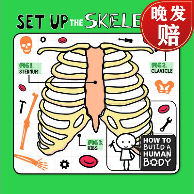 预订 set up the skeleton
