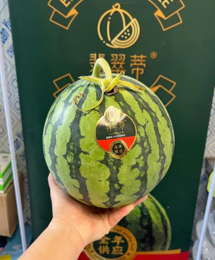翡翠蒂西瓜当季海南麒麟瓜单果7斤新鲜红壤西瓜皮薄脆甜多汁 1颗
