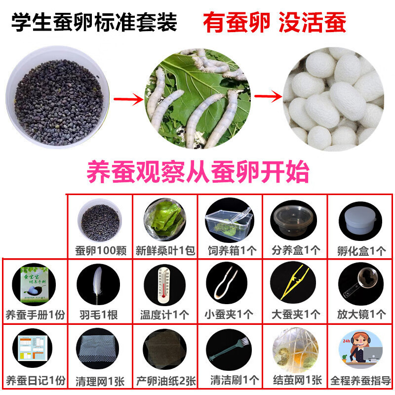 凡奥养蚕的盒子七彩蚕宝宝夫人学生养蚕套装卵活体鹅毛孵化盒放大镜小