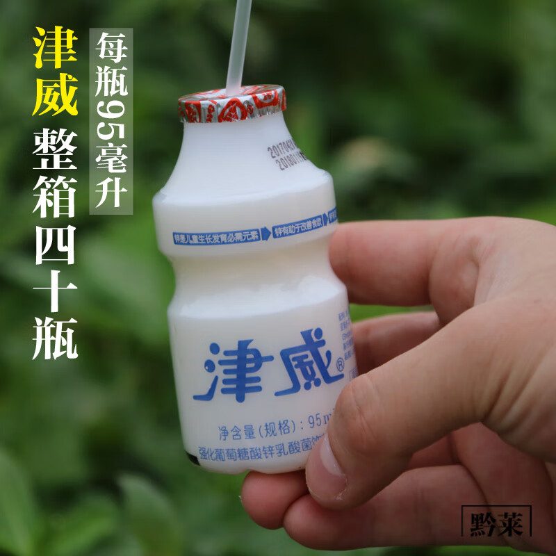 xywlkj广东特产 津威酸奶  葡萄糖酸辛乳酸菌儿童饮料 小瓶津威95ml