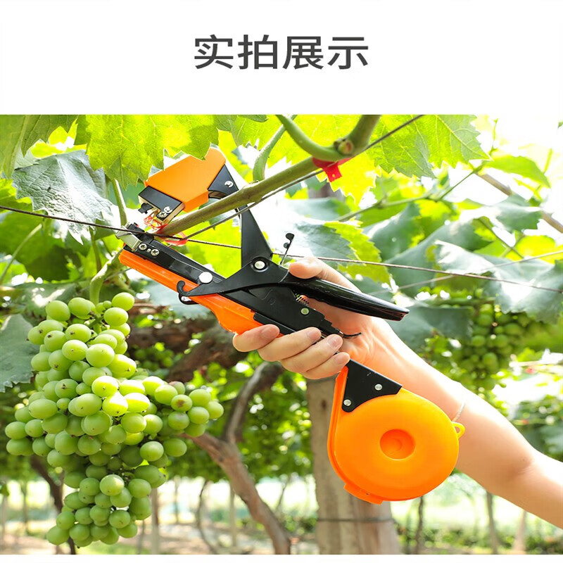 泰鹏绑枝机农用西红柿绑蔓器绑枝神器绑葡萄绑黄瓜胶带钉子捆枝绑藤机