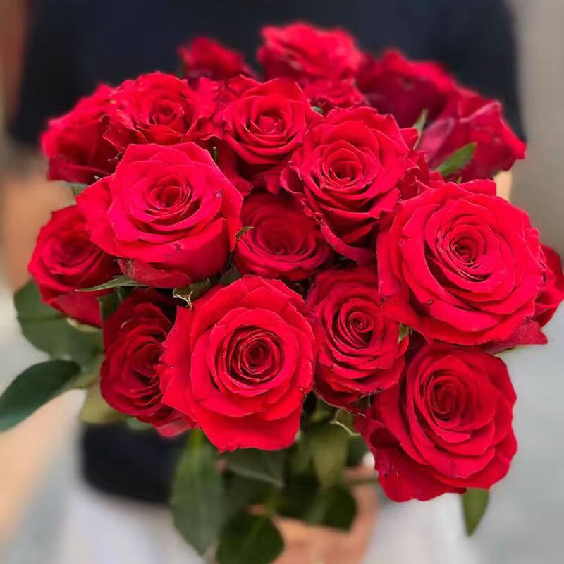 卉双520情人节礼物红玫瑰卡罗拉云南斗南鲜花基地直发昆明花卉市场鲜 红玫瑰(20支)++配草6支 基地直发(+保鲜剂)