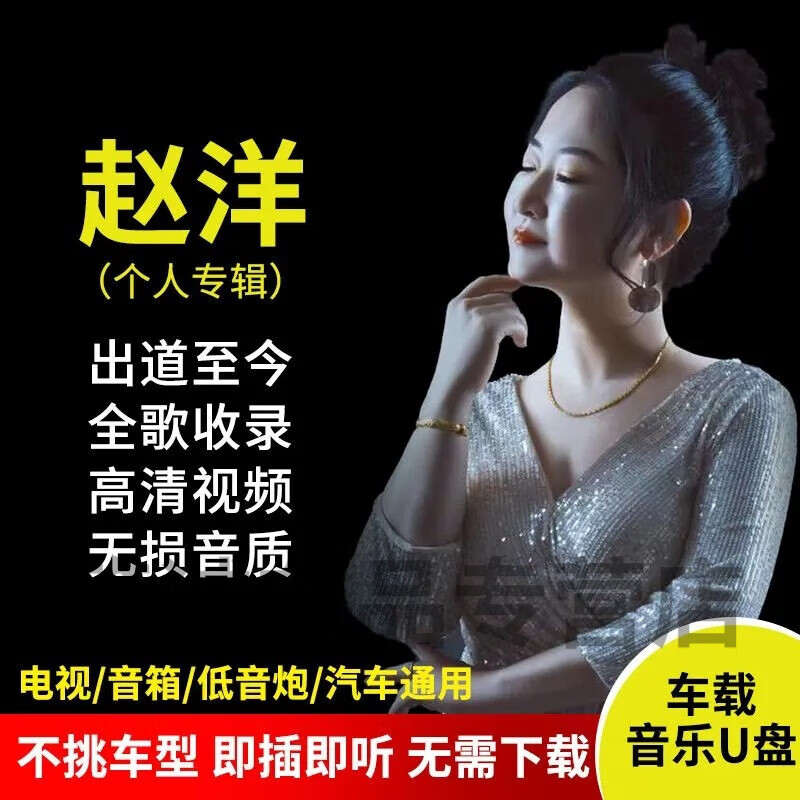 音乐u盘全歌收录mp3无损超高音质歌曲视频mv汽车用品 16g赵洋全歌收录