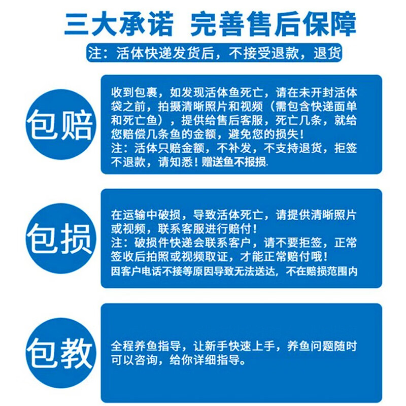 招财如意锦鲤冷水观赏鱼大型纯种精品红白三色招财鱼好养耐活风水鱼活鱼 十全十美（随机颜色10条可指定） 30-35cm