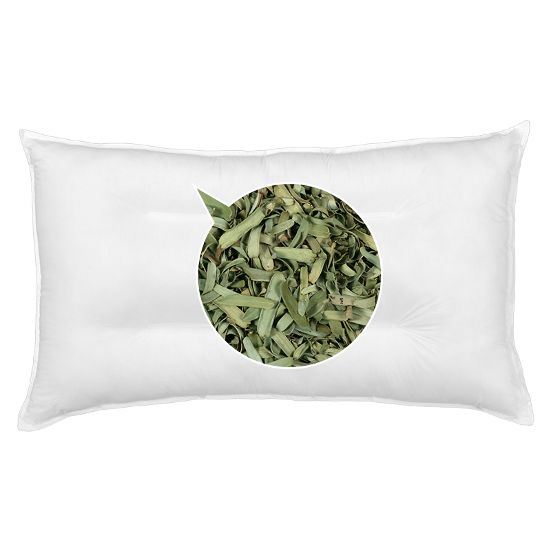 叶枕新鲜新款油柑叶单人余甘叶手工油甘子夏凉枕芯牛甘果叶香软枕头