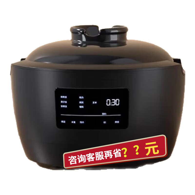 西哲 sezzesezze西哲日本伊贺烧无涂层电饭锅煲陶瓷内胆智能家用柴火