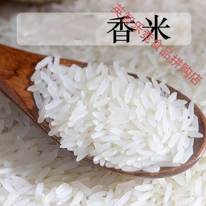 大米10斤香米5公斤2020年长粒香米新米厂家批发 10斤
