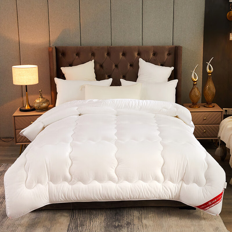 懿儱佩被子春秋被聚酯纤维被芯棉被加厚单双人宿舍秋冬季四季保暖空调