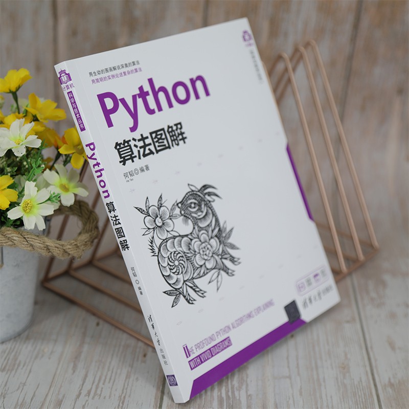 Python算法图解（计算机科学与技术丛书）