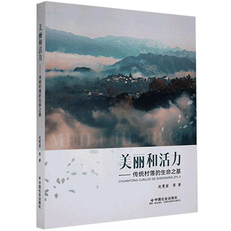 美丽和活力：传统村落的生命之基