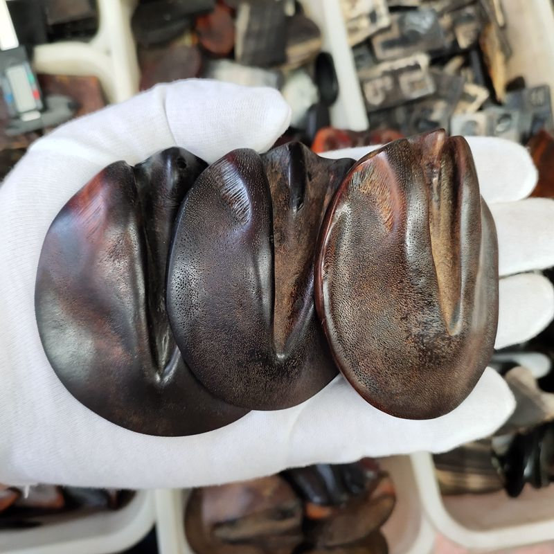 时乾 天然黑驴蹄子吊坠挂件手把件 刮痧摸金鱼子纹