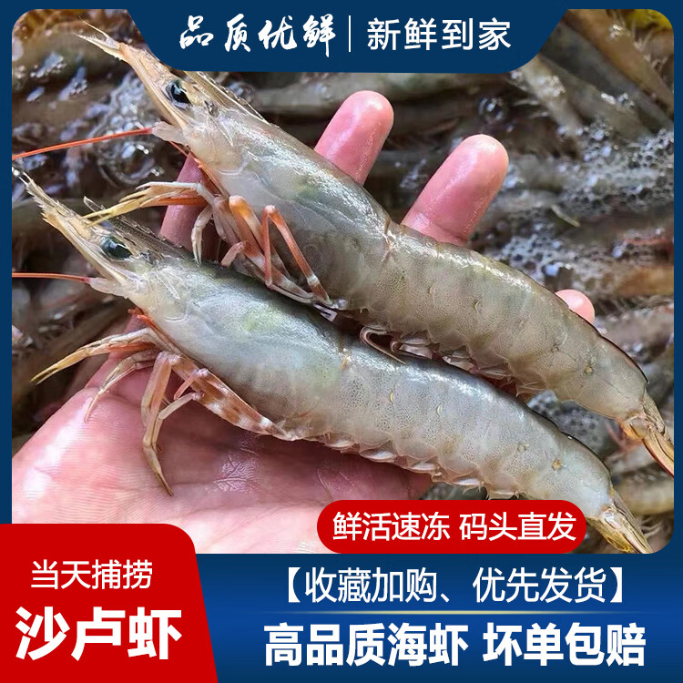 Ұ��ɳ¬Ϻ�ʻ���ڻ�Ϻ�߽�Ϻ����ˮ�����Ϻ�䶳����Ϻ�㶫 Ұ��ɳ¬Ϻ 250g(����)  Ұ��ɳ¬Ϻһ�а���Գ�װ 52.23Ԫ