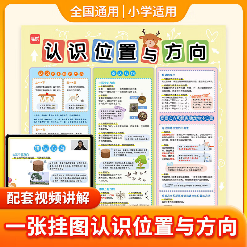 挂图认识位置与方向挂图小学生认识方向与位置认识东南西北知识点速记