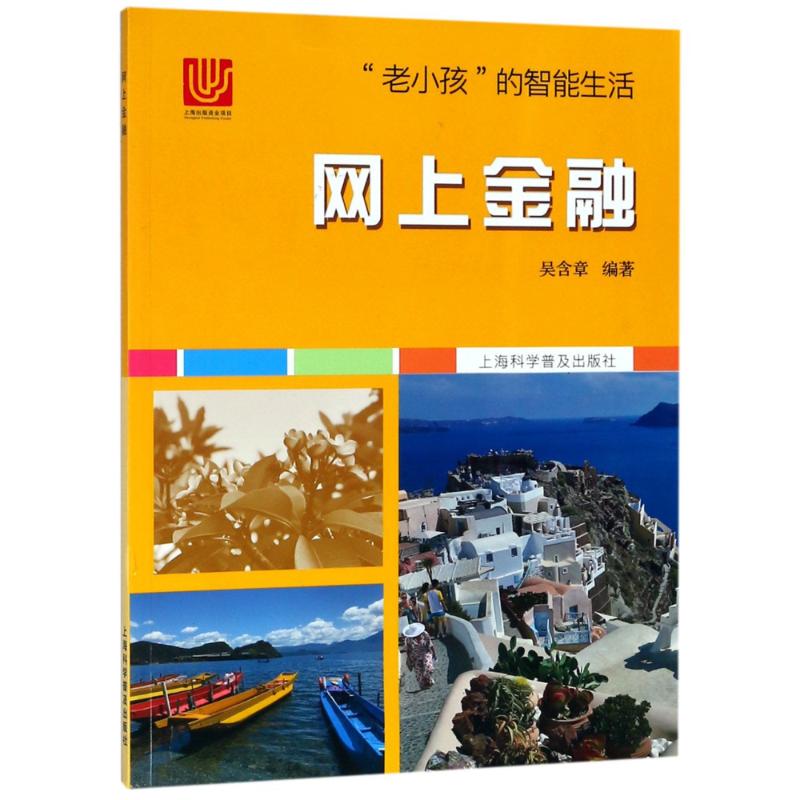 网上金融 吴含章 书籍