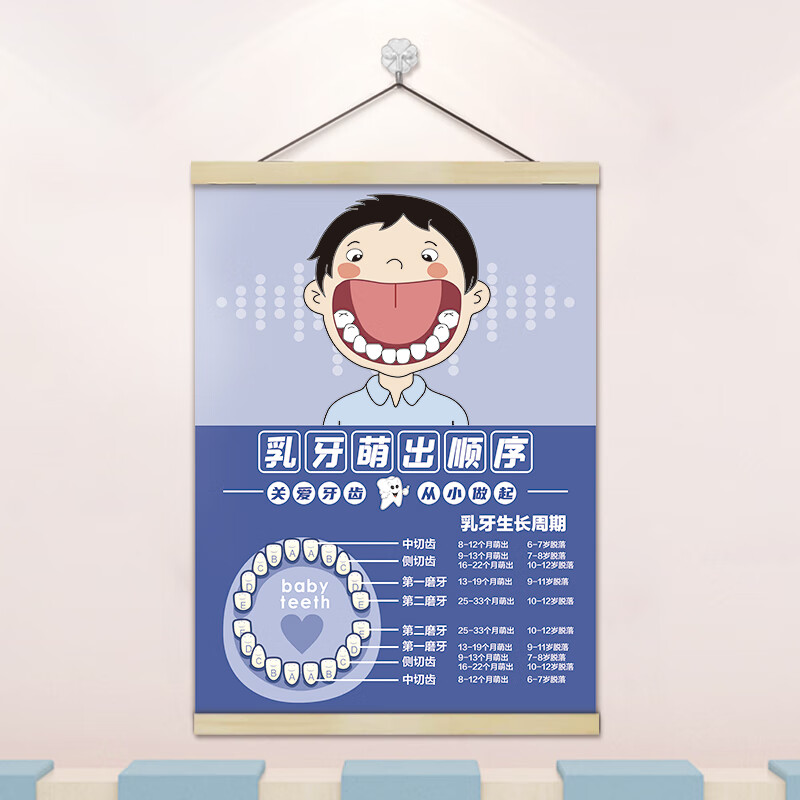 ek100 乳牙萌出顺序 油画布 实木挂轴 挂钩 40x60cm
