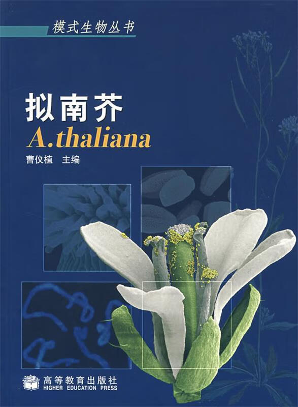 拟南芥【正版书籍,畅读优品】