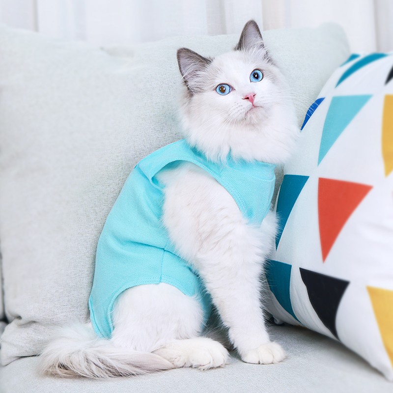 憨憨宠绝育服猫咪手术服母猫绝育服衣服断奶驱虫防舔猫癣术后恢复服