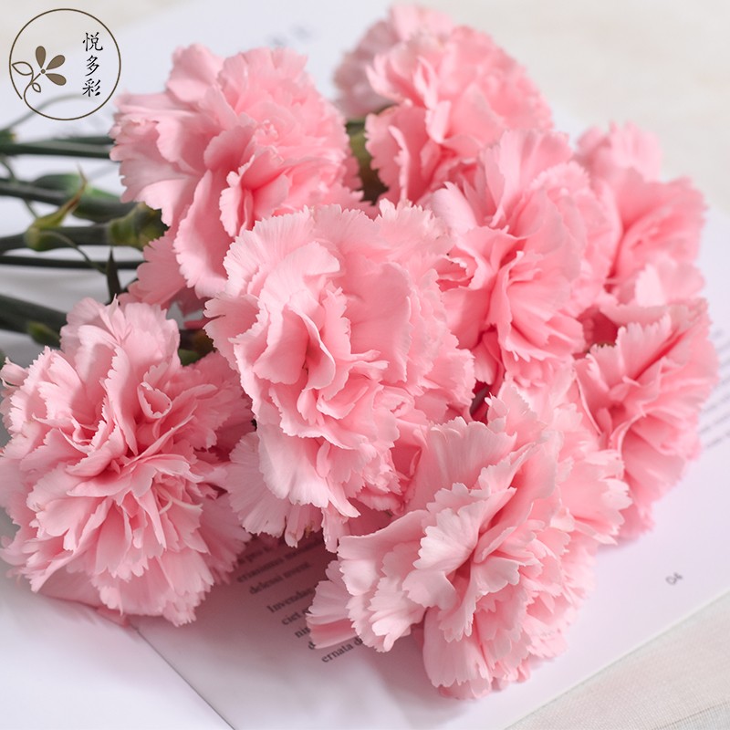 百合花 相关京东优惠商品排行榜 价格图片品牌优惠券 虎窝购