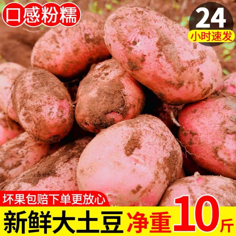 蜜钰鲜云南红皮土豆 现挖高原农产品马铃薯洋芋新鲜蔬菜整箱 净重9斤土豆