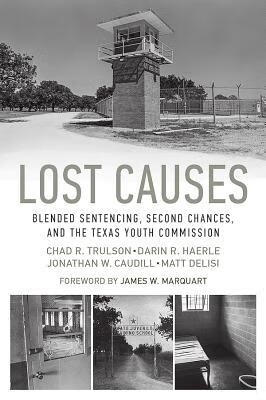 预订lost causes: blended sentencing, second chances, and the