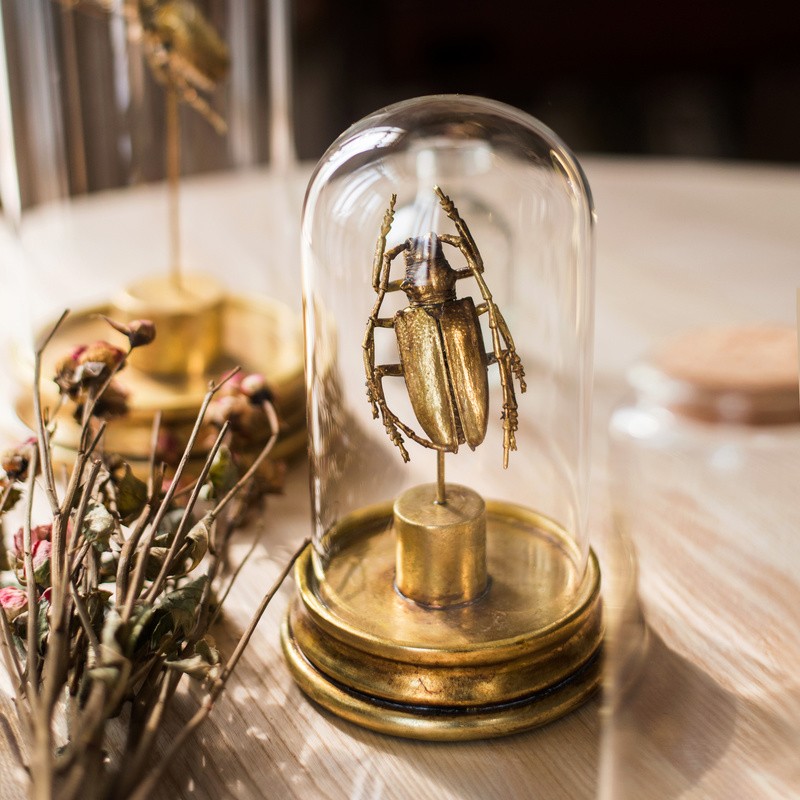 复古摆件金属色甲虫标本轻奢礼物桌面装饰摆件另类艺术朋克摇滚 鞘翅