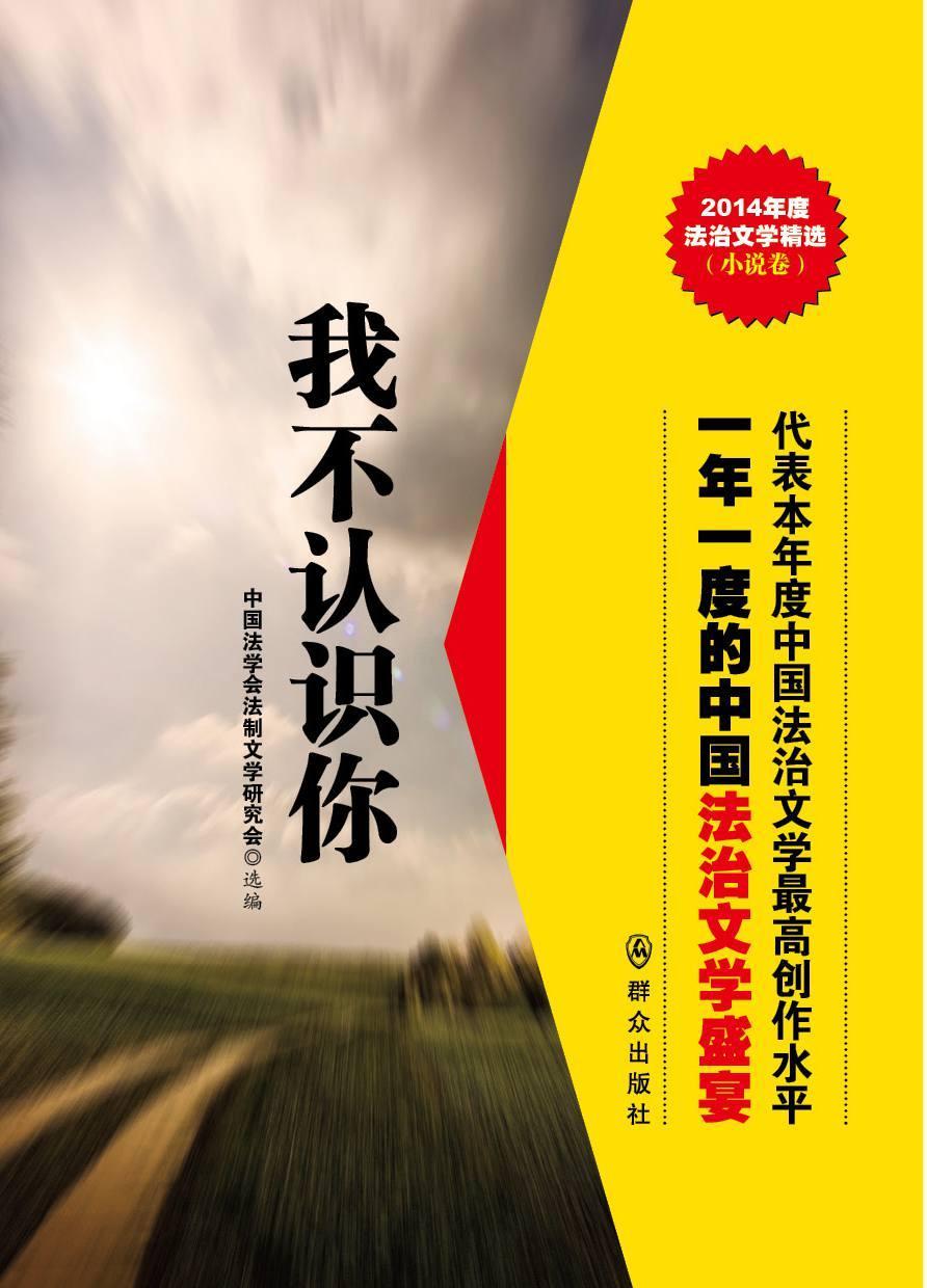 我不认识你文学  图书