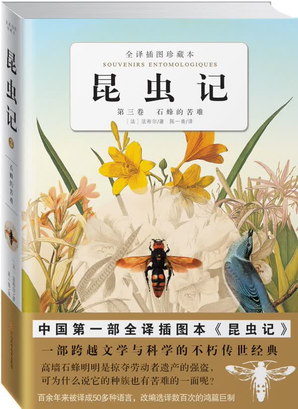 昆虫记