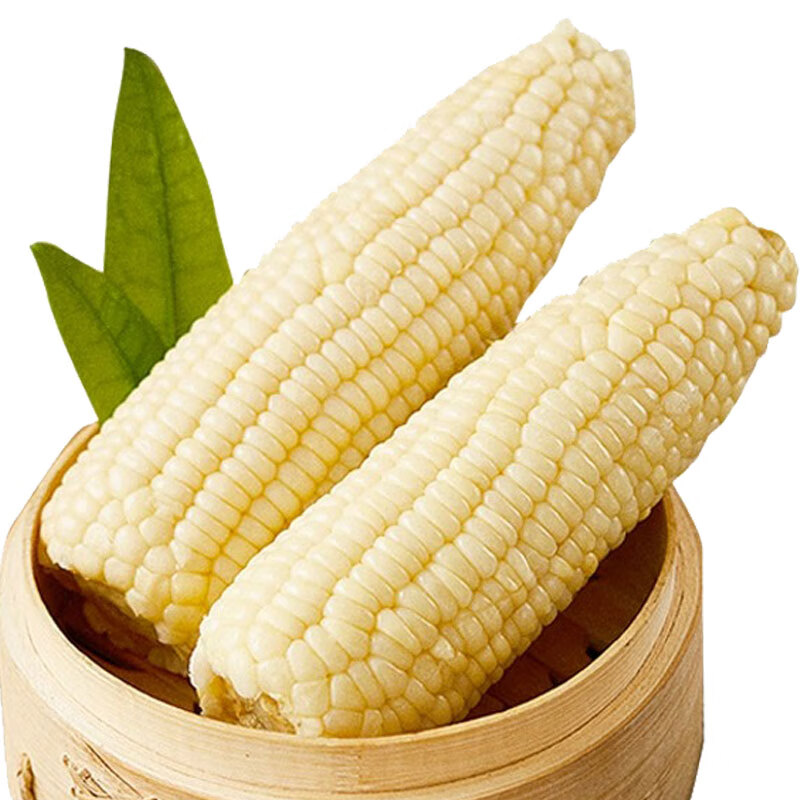 ١��������Ŵ���� 2024������Ŵ�����װ��� ��հ�װ������������� ��Ŵ���׾���240g*10��