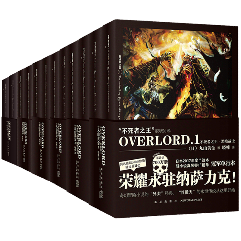 不死者之王 overlord小说全集14