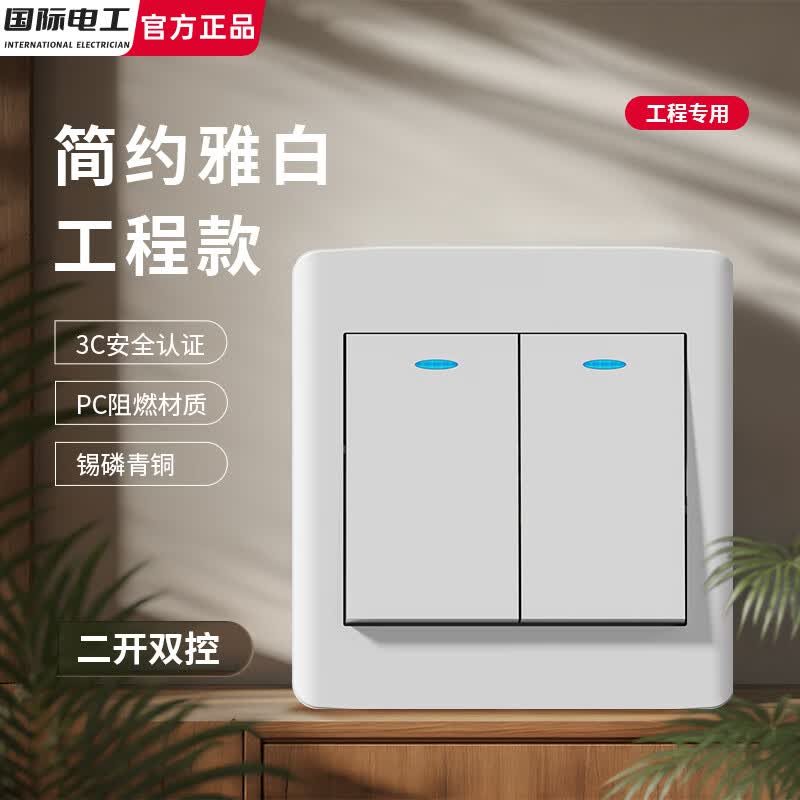 国际电工暗装开关插座86型双控五孔空调电源插全屋家用工程专用宿舍经济款 二开双控【白色】