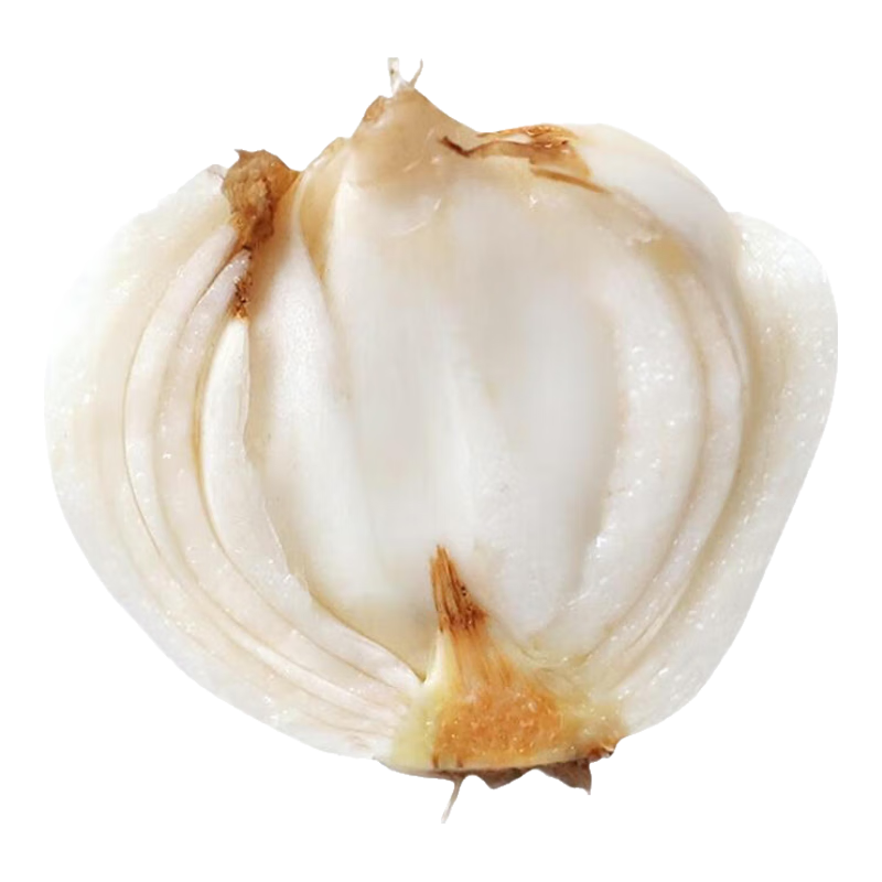 曠古農(nóng)業(yè)甘肅蘭州鮮百合食用鮮百合生鮮蔬菜天然生甜白合 2斤 約20個(gè)