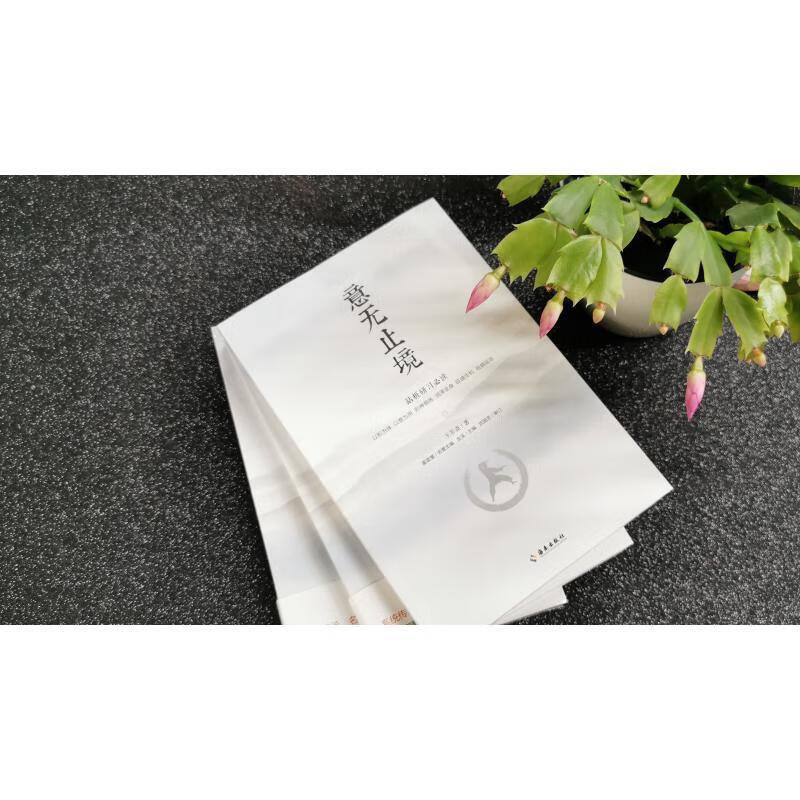 意无止境(站桩研)王芗斋海南出版社9787573002372 运动/健身书籍