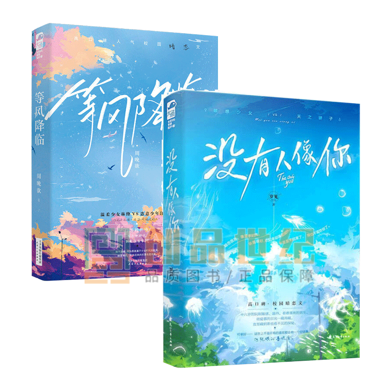 等风降临+没有人像你 套装2册 青春文学 爱情情感小说书籍